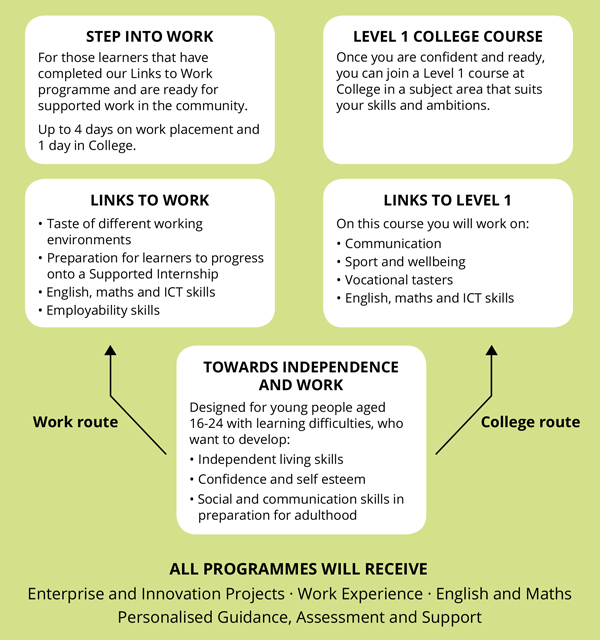 Online college course options