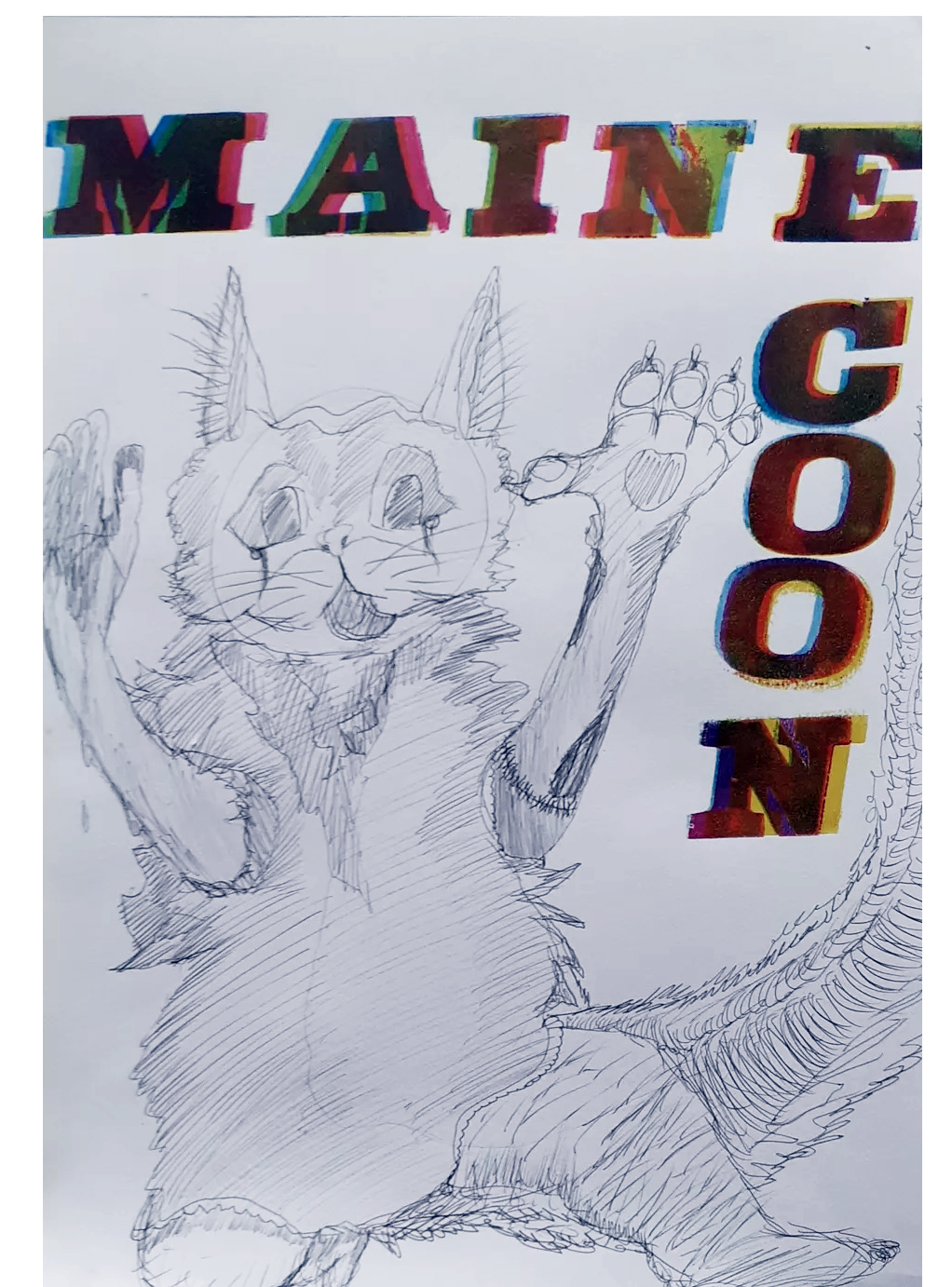 Maine Coon.jpg