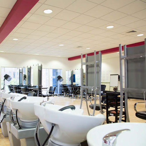 The Salon at College