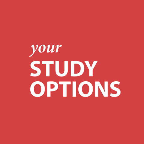 Your Study Options