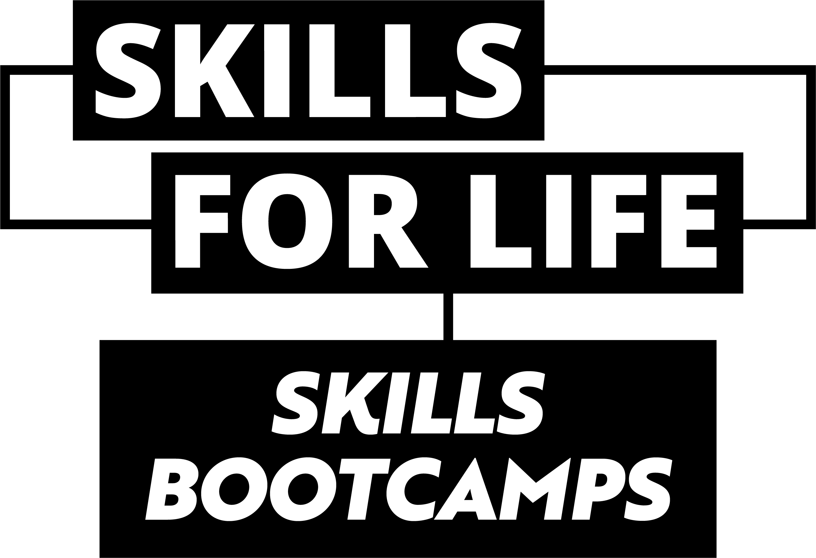 SFL SkillsBootcamp BlackBox RGB 1