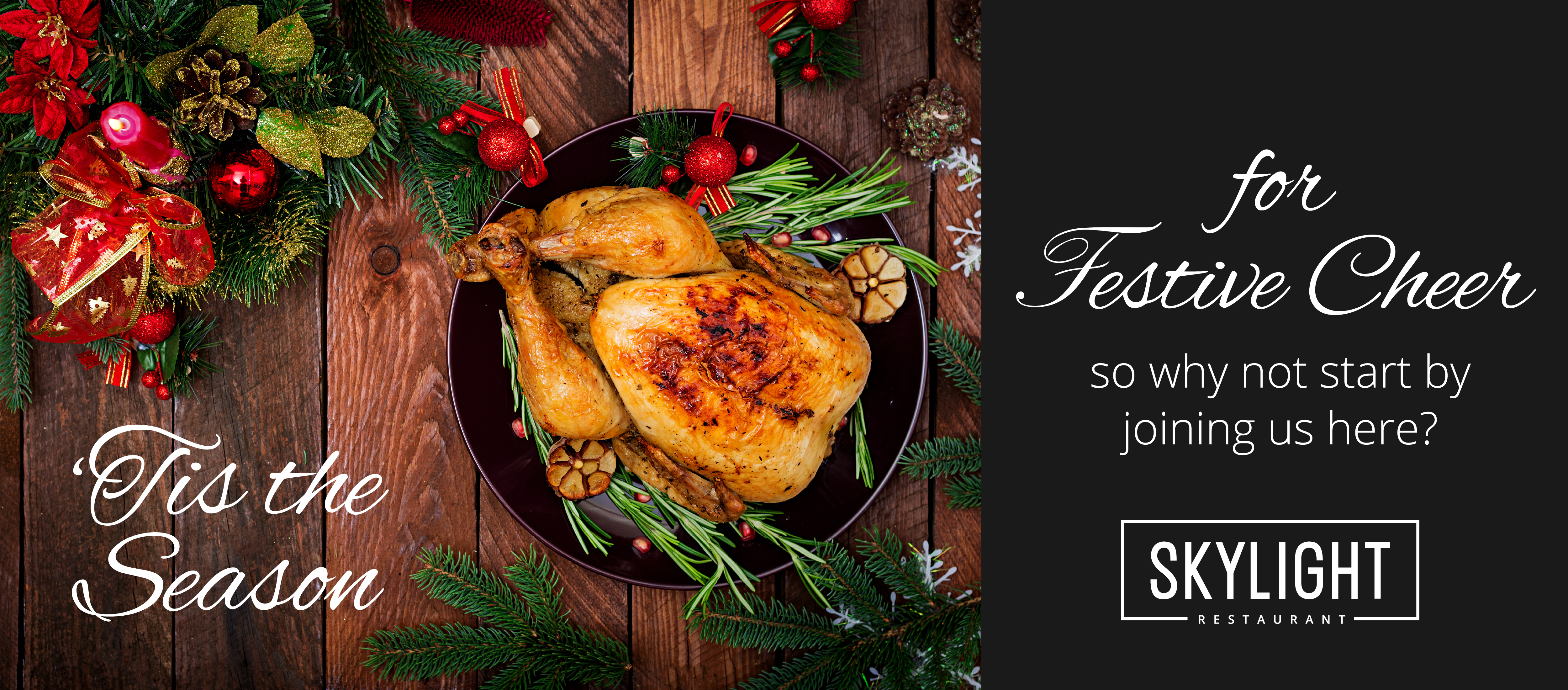 Skylight Christmas Web Banner 04