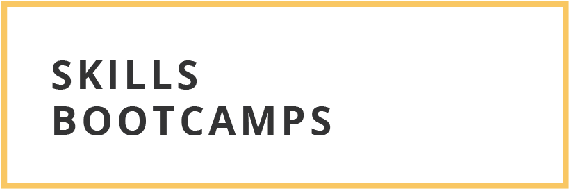 Skills Bootcamps
